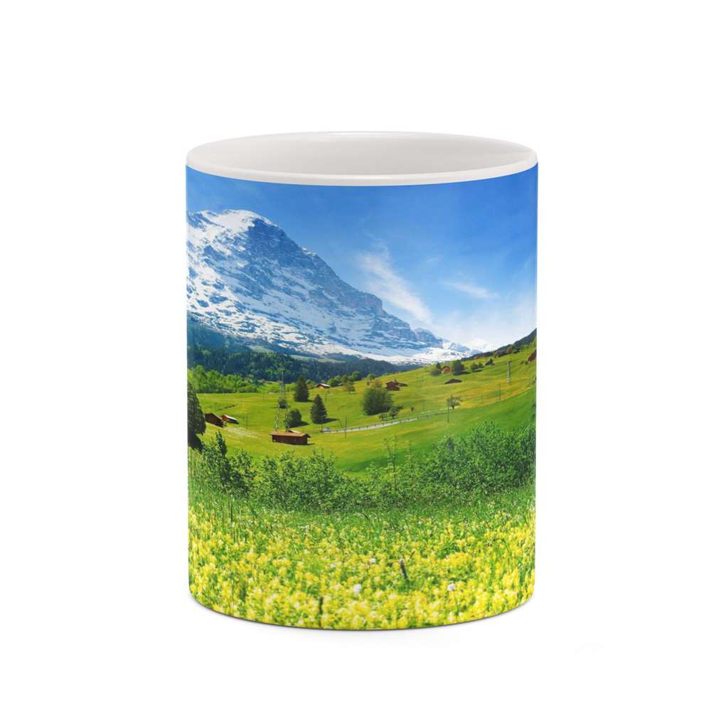 ماگ کاکتی طرح منظره مدل mgh18253