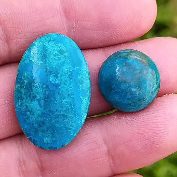 سِت نگین کریزوکولا 