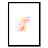 قیمت و خرید تابلو دکوراتیو مدل عکاسی مینیمال گل کد 078