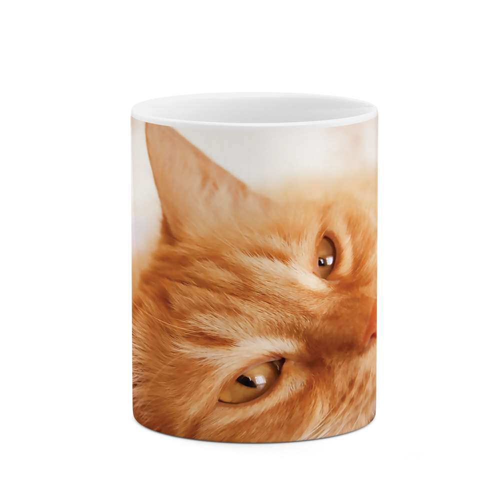 ماگ طرح گربه مدل mgs07682