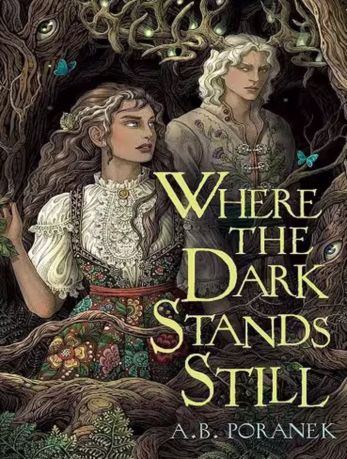 کتاب Where the Dark Stands Still (زبان اصلی)