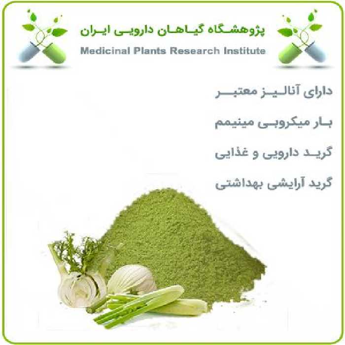 عصاره رازیانه خشک (پودری)