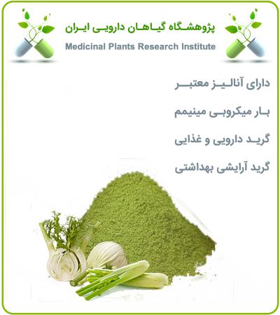 عصاره رازیانه خشک (پودری)