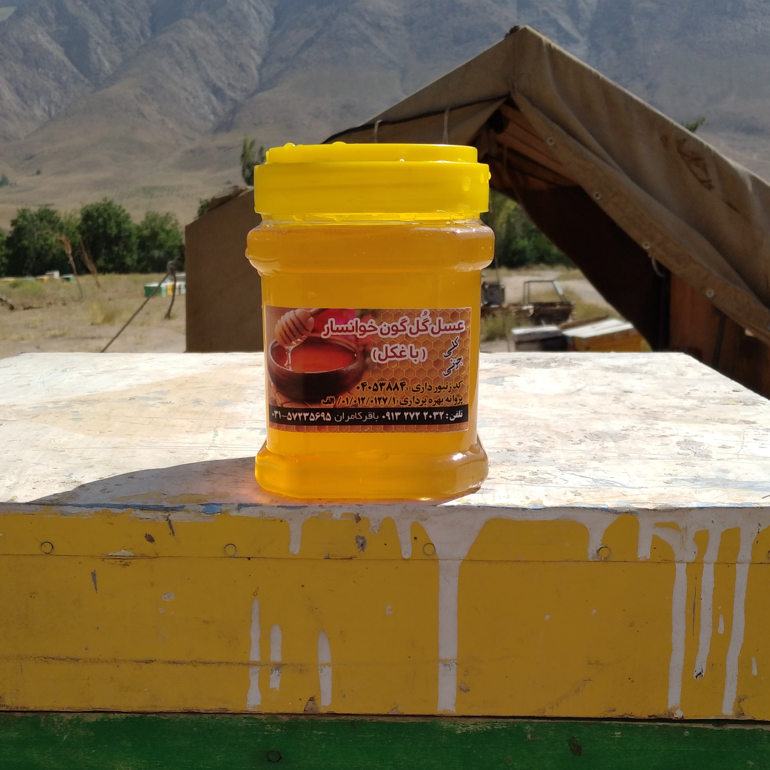 عسل گل گون طبیعی بدون موم صافکرده(مستقیم از زنبوردار)