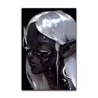 تابلو شاسی گوفی مدل پری ارباب حلقه ها طرح Dark Elf کد BW74 | دنیای قاب