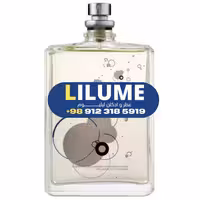 عطر ادکلن اسنتریک مولکولز مولکول 01 100 میل مردانه – زنانه