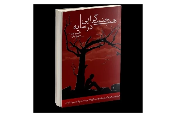 کتاب همجنسگرایی در سایه pdf - کتابخانه مجازی واتیکان