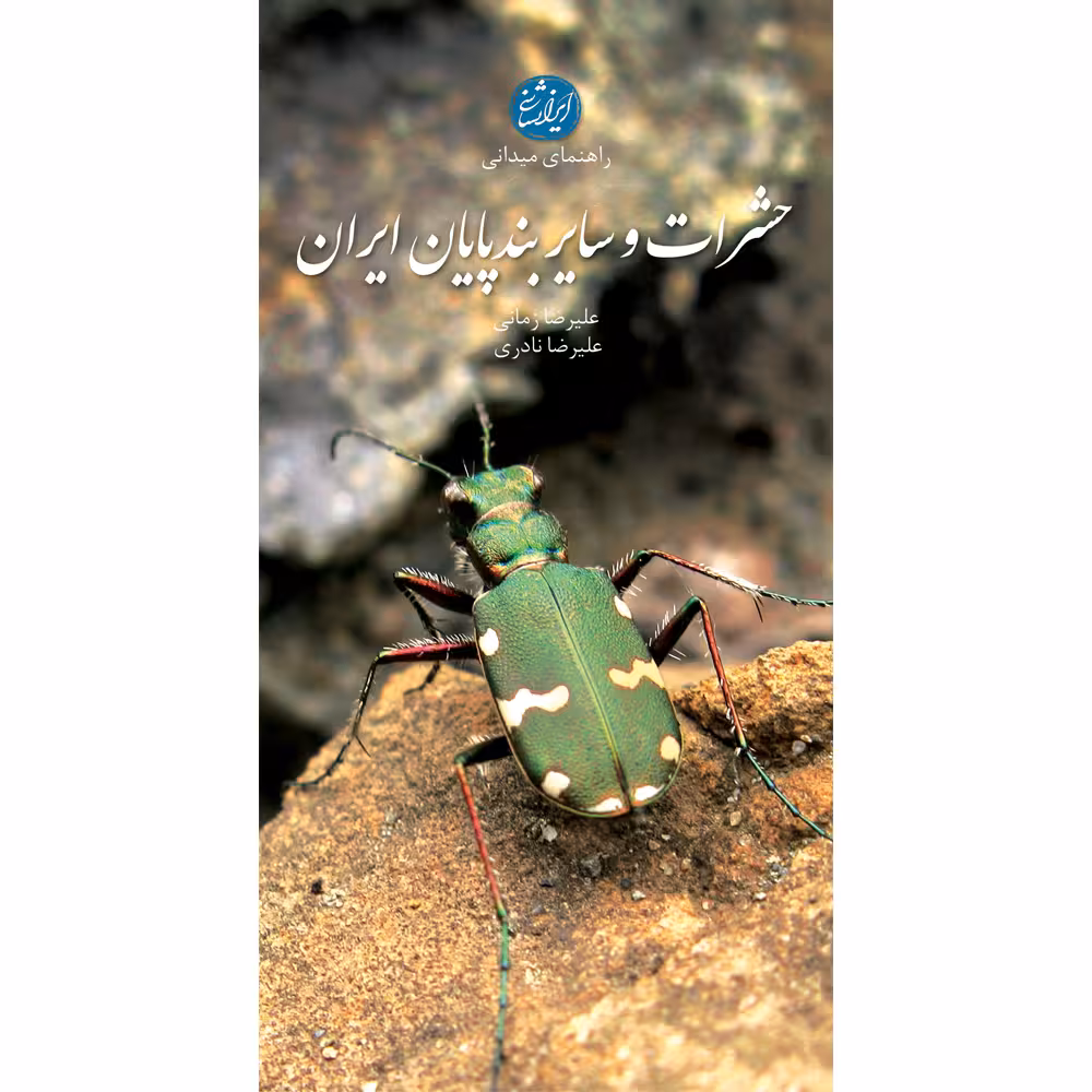 کتاب حشرات و سایر بندپایان ایران اثر علیرضا زمانی و علیرضا نادری انتشارات ایرانشناسی