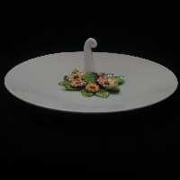  شیرینی خوری سرامیکی هیوا مدل رازقی کد 10982647