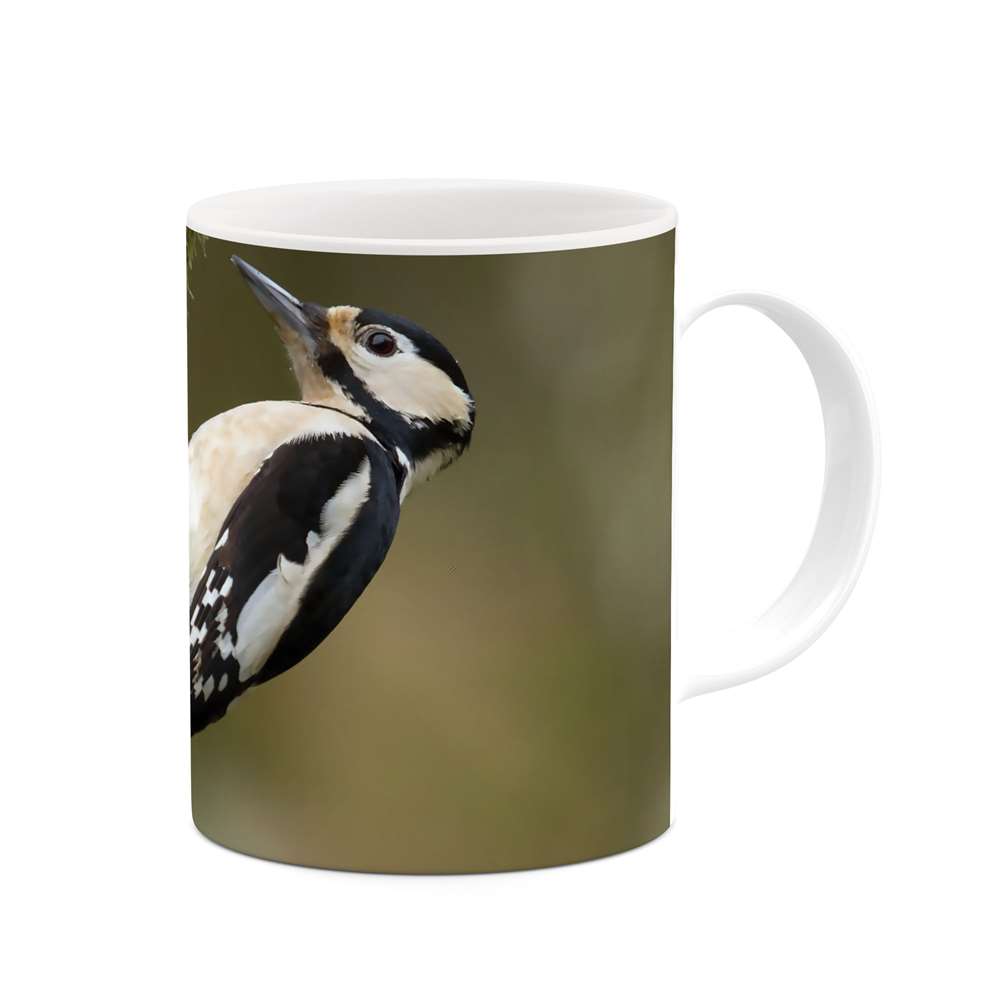 ماگ طرح مرغ مگس خوار مدل mgs06215