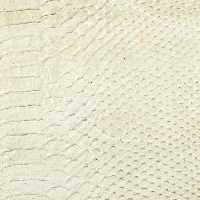 خرید و دانلود عکس Background-Part-18 کد 5434 | پیک فاکس | Pic Fox