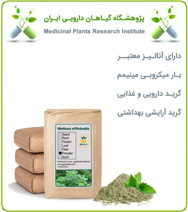 پودر بادرنجبویه فله