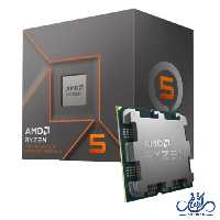 سی پی یو ای ام دیAMD RYZEN 5 8500G