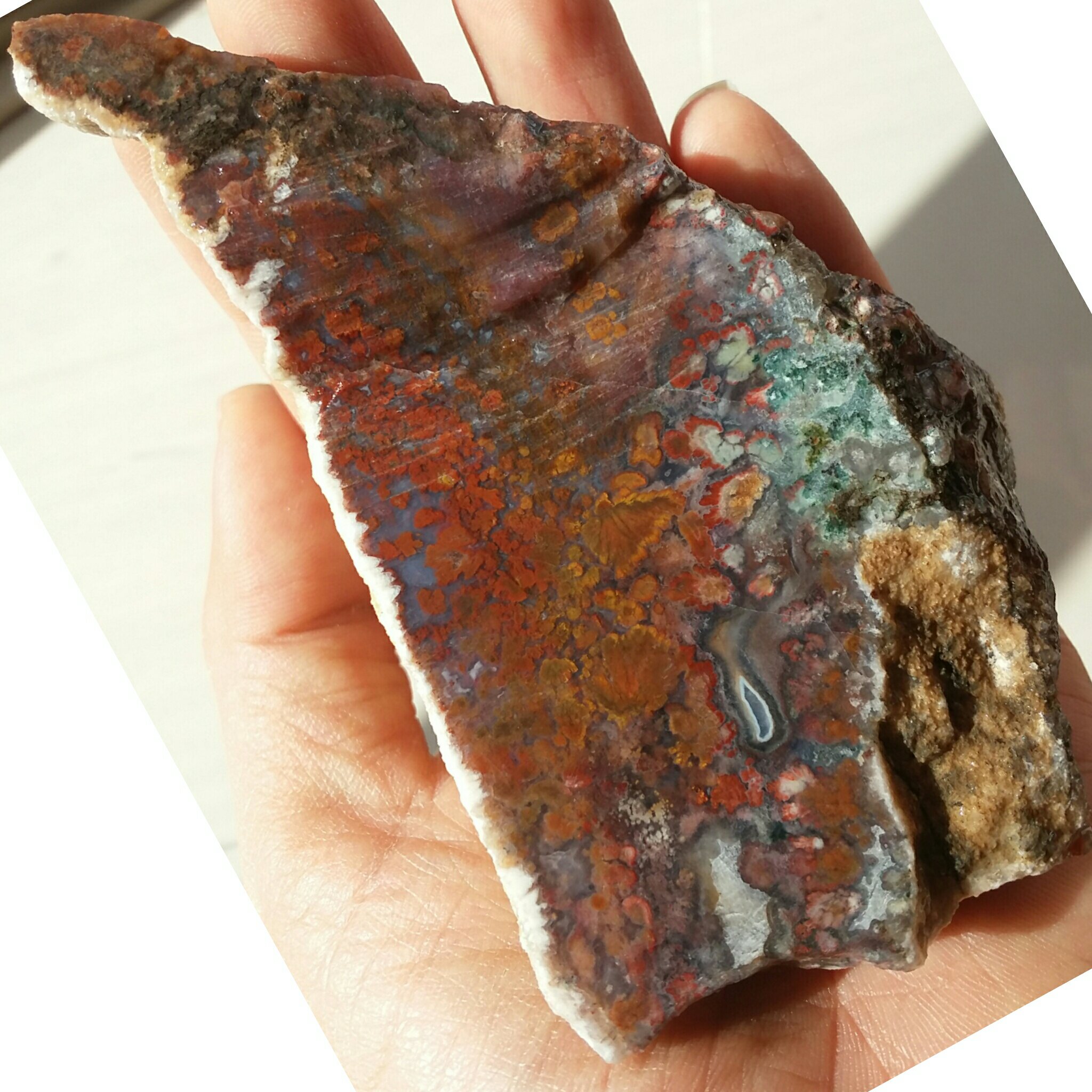 اسلایس سنگ راف شجر 7رنگ محشر شاهکار خلقت دیدنییییی کاملا طبیعی بی نظیییییییییر