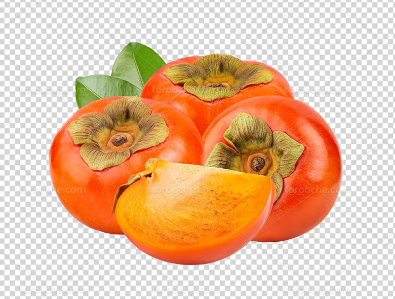 عکس PNG نقاشی خرمالو | گرافیک با طعم تربچه