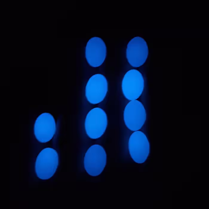 پک 10 عددی گوهر شب چراغ