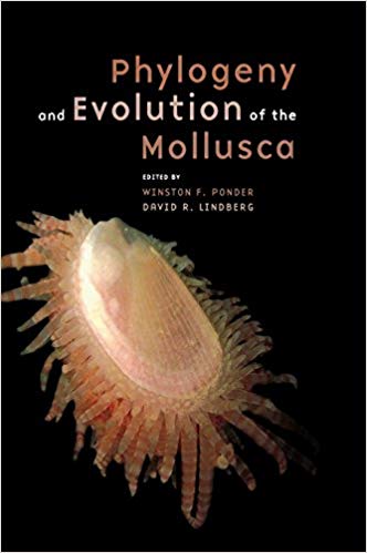 خرید و دانلود نسخه کامل کتاب Phylogeny and Evolution of the Mollusca First Edition