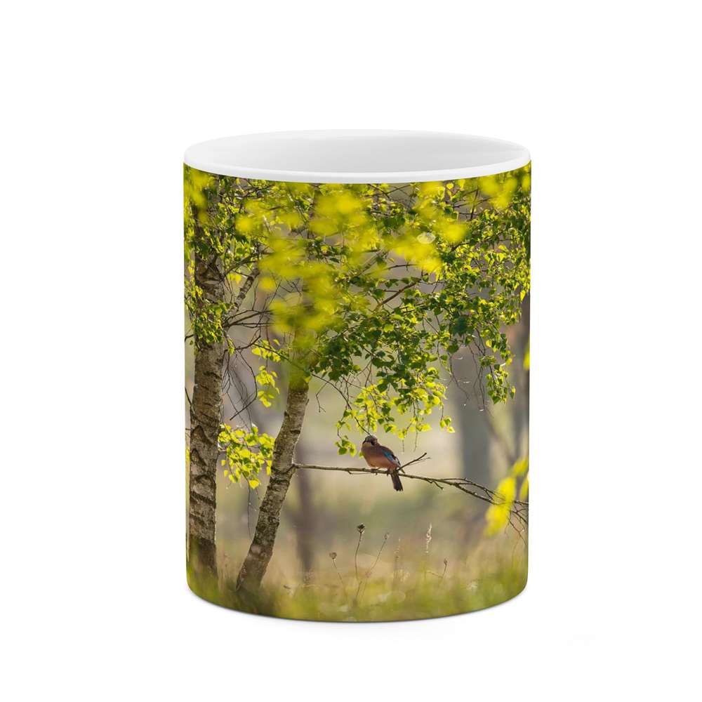 ماگ کاکتی طرح منظره مدل mgs16908