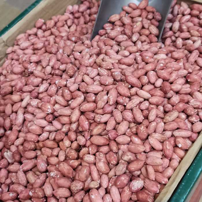 بادام زمینی تازه امسالی محلی آستانه اشرفیه یک کیلویی محص1403 برج 6دربهترین درجه بدون تلخ کاملا محلی  آستانه اشرفیه