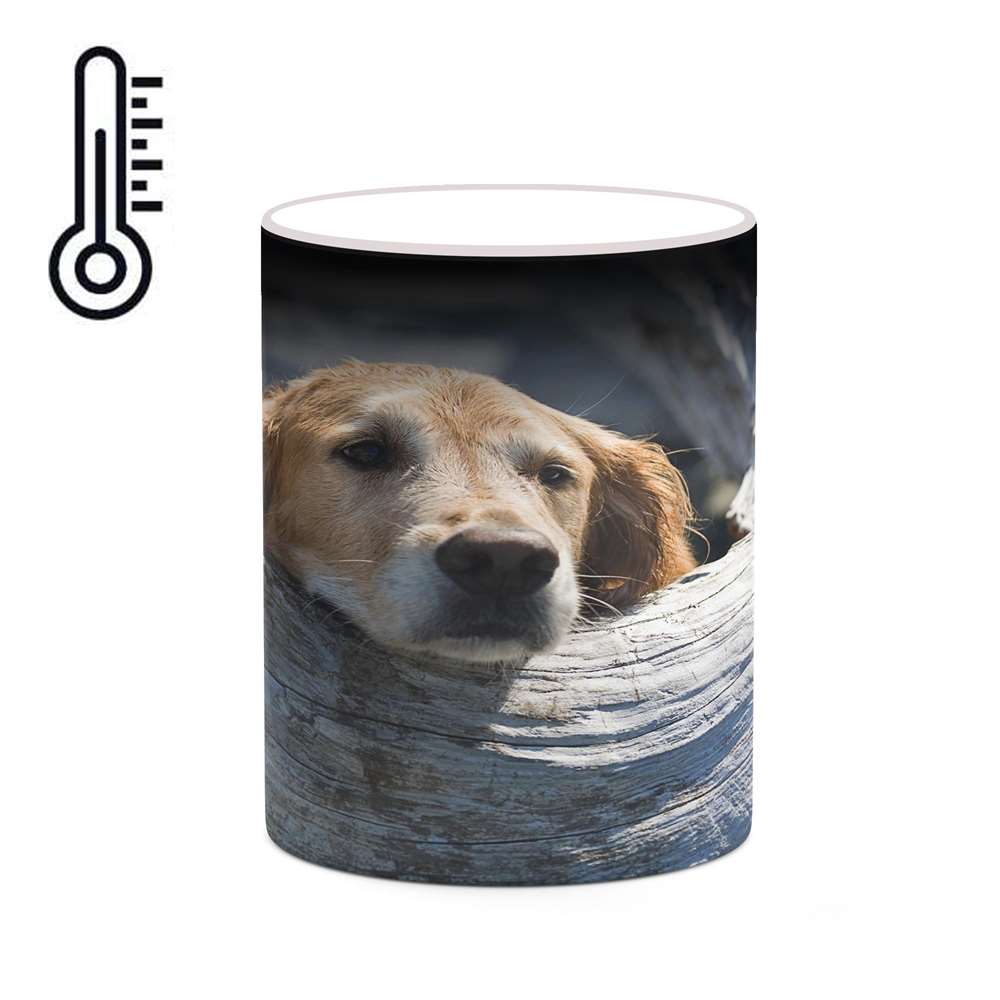 ماگ حرارتی کاکتی طرح سگ مدل mgh19235