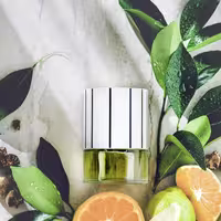 عطر کاپتان بلک