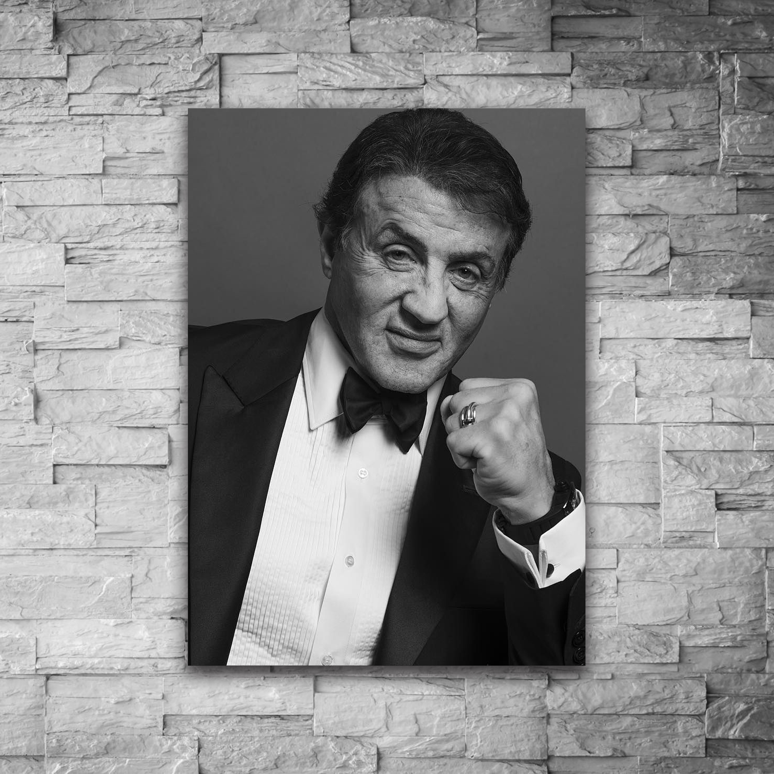 تابلو شاسی طرح سیلوستر استالونه