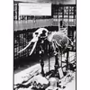 کتاب On the Origin of Species اثر Charles Darwin انتشارات Broadview Press