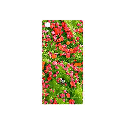 برچسب پوششی ماهوت مدل Atom Universe 3 مناسب برای گوشی موبایل سونی Xperia Z5