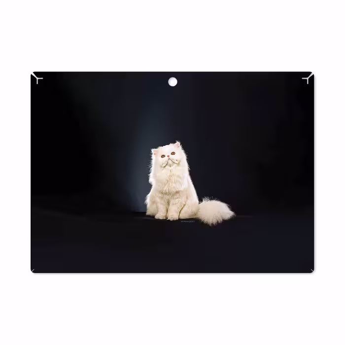 برچسب پوششی ماهوت مدل Persian cat مناسب برای تبلت لنوو Miix 320 2017