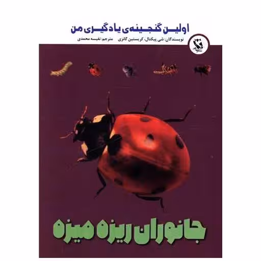 کتاب جانوران ریزه میزه (اولین گنجینه یادگیری من)(جیبی) اثر شی پیکتال