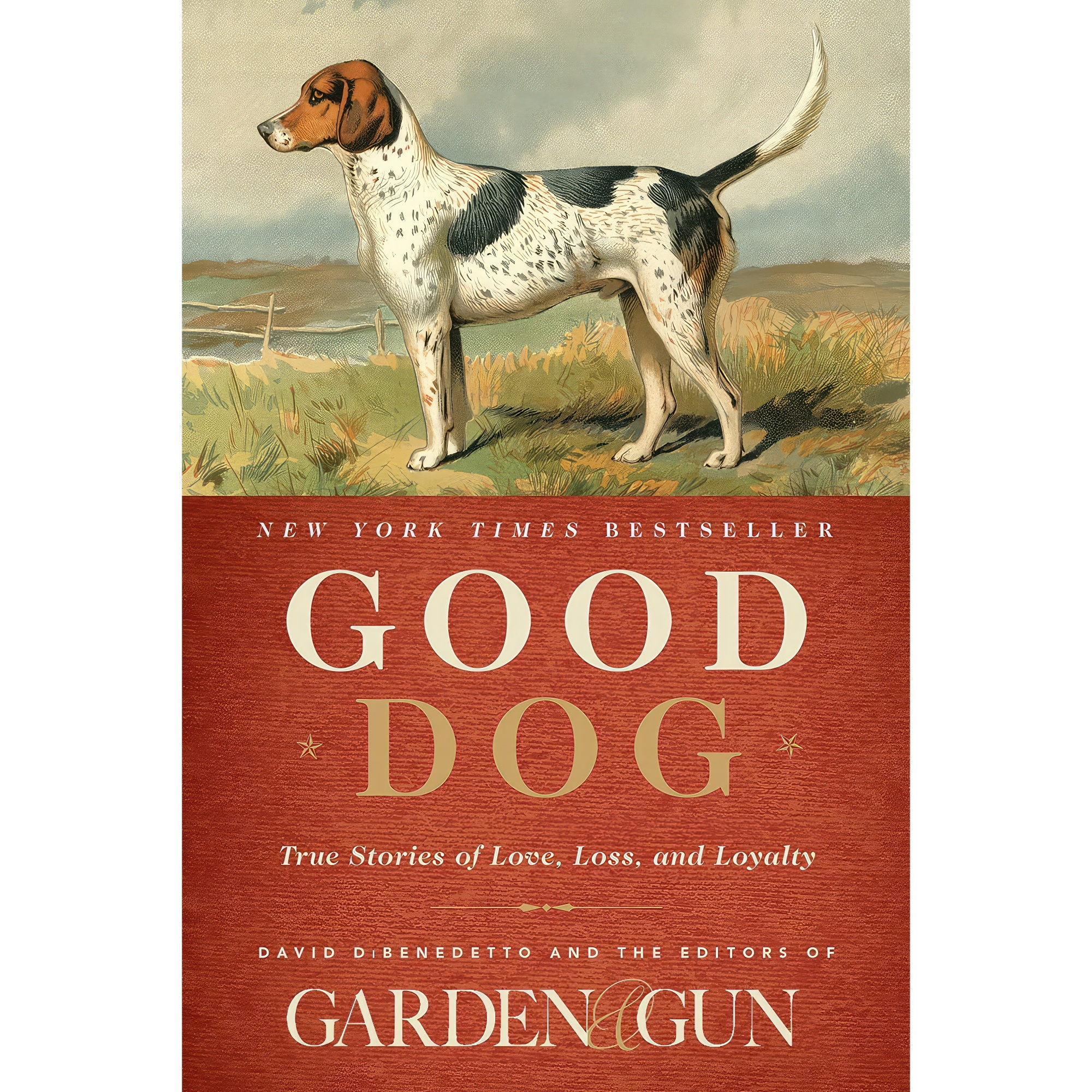 کتاب Good Dog اثر جمعی از نویسندگان انتشارات Harper Wave