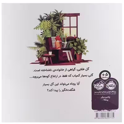 کتاب گلی به رنگ خورشید اثر بنجامین فلاو انتشارات پرتقال