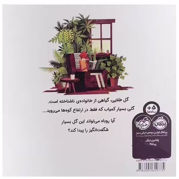 کتاب گلی به رنگ خورشید اثر بنجامین فلاو انتشارات پرتقال