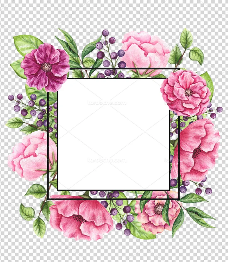 عکس PNG کادر گل آبرنگی | گرافیک با طعم تربچه