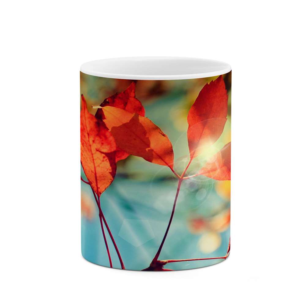 ماگ کاکتی طرح برگ مدل mgs14551