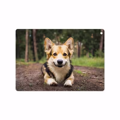 برچسب پوششی ماهوت مدل Dog-2 مناسب برای تبلت اپل iPad 9.7 (GEN 5) 2017 A1823