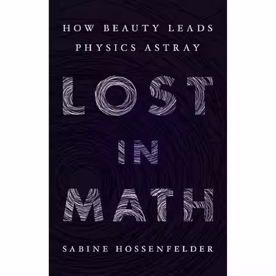 کتاب Lost in Math اثر Sabine Hossenfelder انتشارات Basic Books