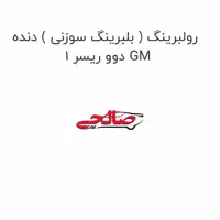 رولبرینگ ( بلبرینگ سوزنی ) دنده 1 دوو ریسر GM