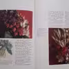 كتاب Dried Flowers اثر Amelia Saint George انتشارات Anaya 