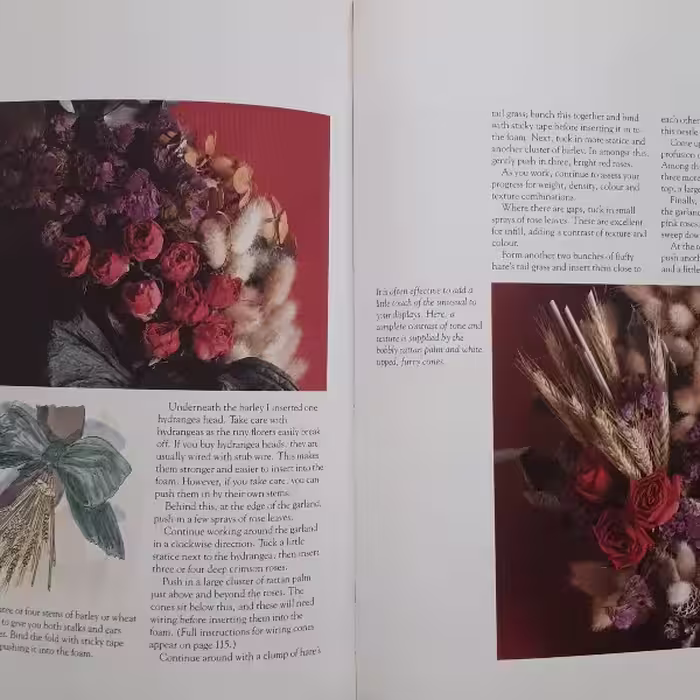 كتاب Dried Flowers اثر Amelia Saint George انتشارات Anaya 