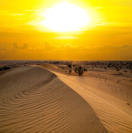 خرید و دانلود عکس Nature-Part-9 کد 37348 | پیک فاکس | Pic Fox