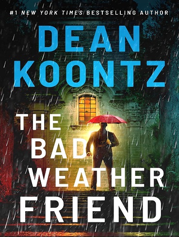 کتاب The Bad Weather Friend (زبان اصلی)