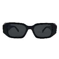 عینک آفتابی مدل Pd110