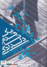 قیمت و خرید کتاب یک قدم تا دلدادگی اثر هایده حائری | ایده بوک
