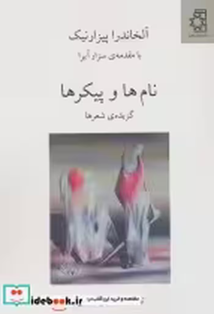 قیمت و خرید کتاب نام ها و پیکرها اثر آلخاندرا پیزارنیک | ایده بوک