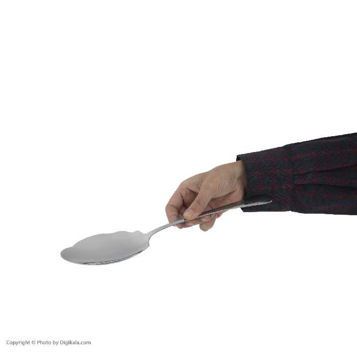 کفگیر صنایع استیل ایران مدل پارما کد 888