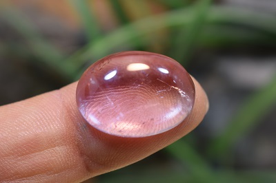 امتیست دامله(کاپوشی)