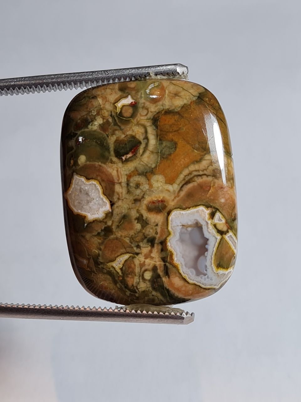 جاسپر ریولایت شناسه 4211