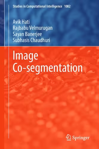 خرید و دانلود نسخه کامل کتاب Image Co-segmentation
