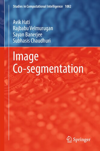 خرید و دانلود نسخه کامل کتاب Image Co-segmentation